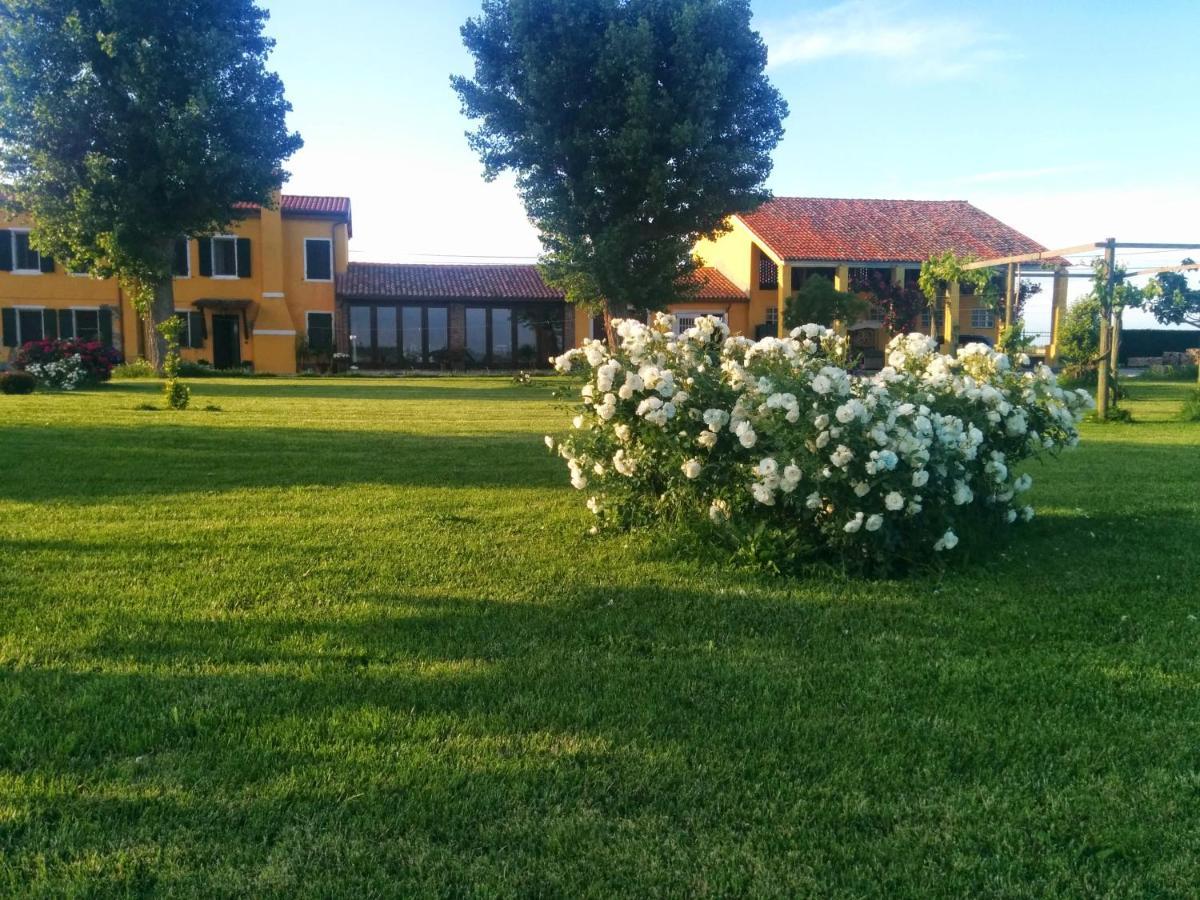 Antica Vigna Bed & Breakfast Chioggia Ngoại thất bức ảnh